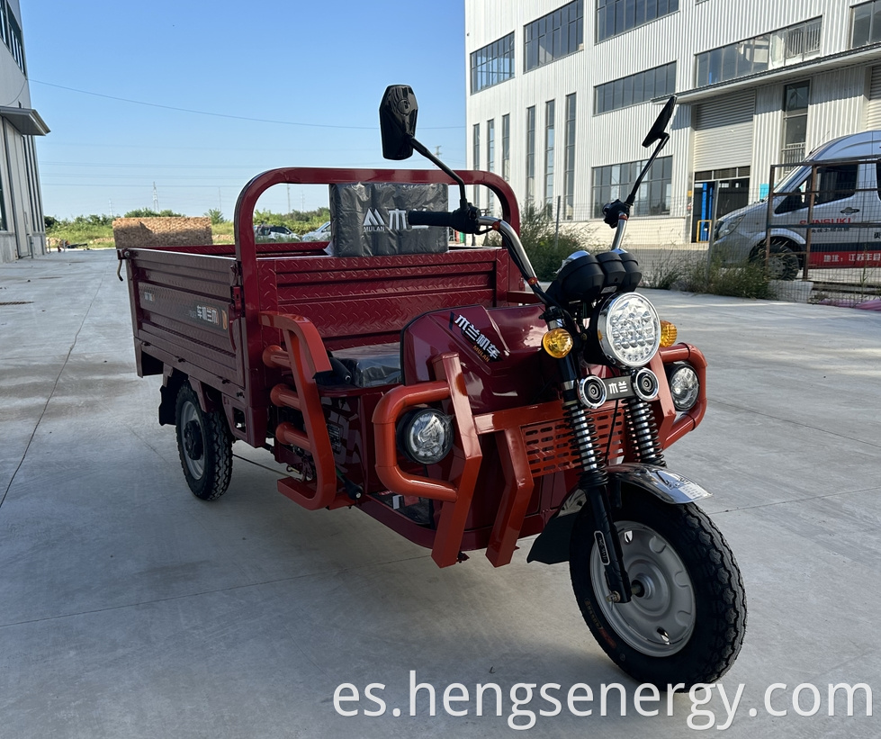 Cargo Electric Tricycle